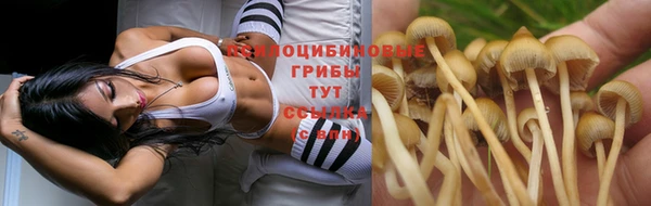 гашишное масло Балабаново