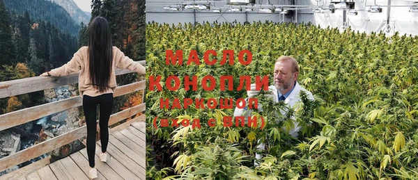 каннабис Баксан
