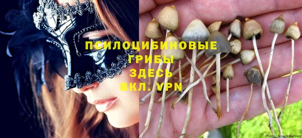 spice Балахна