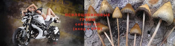 каннабис Баксан