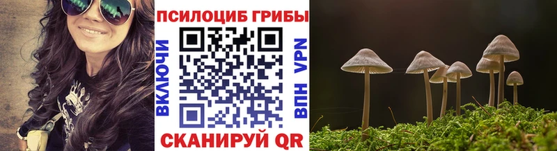 Галлюциногенные грибы прущие грибы  цена   Ядрин 